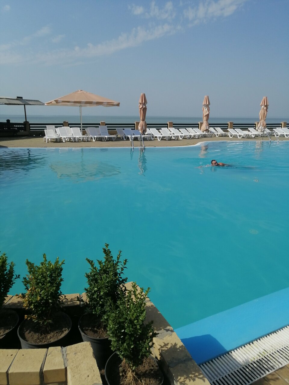 Гостиница Золотое Руно Таганрог-233