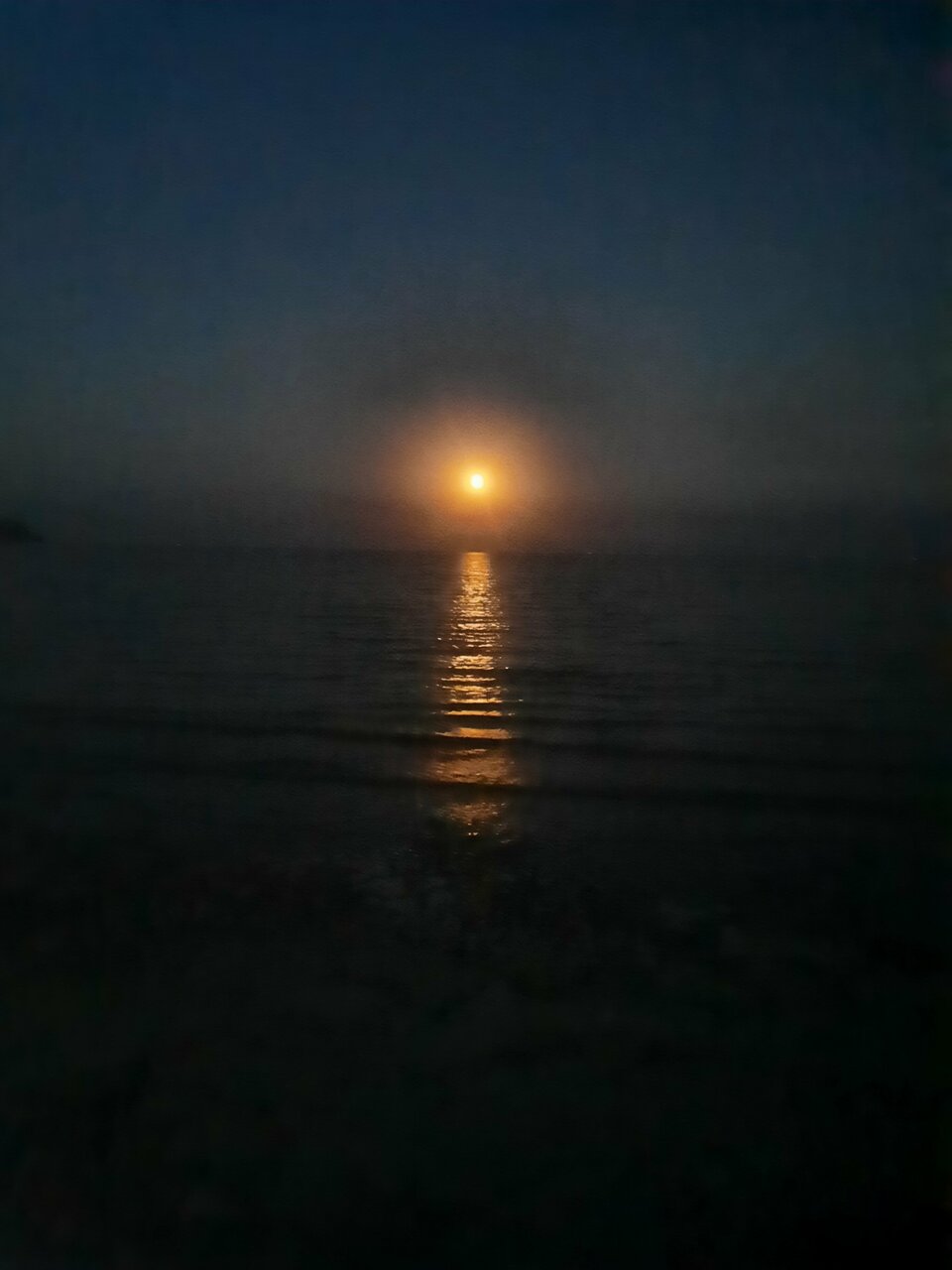 Гостиница Золотое Руно Таганрог-213