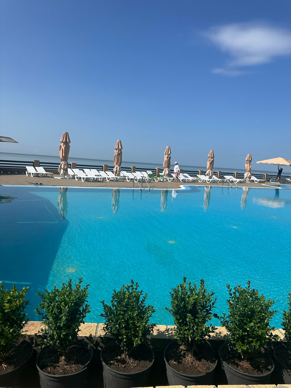 Гостиница Золотое Руно Таганрог-163