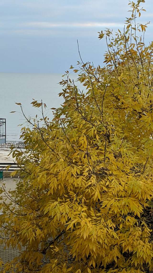 Гостиница Золотое Руно Таганрог-72