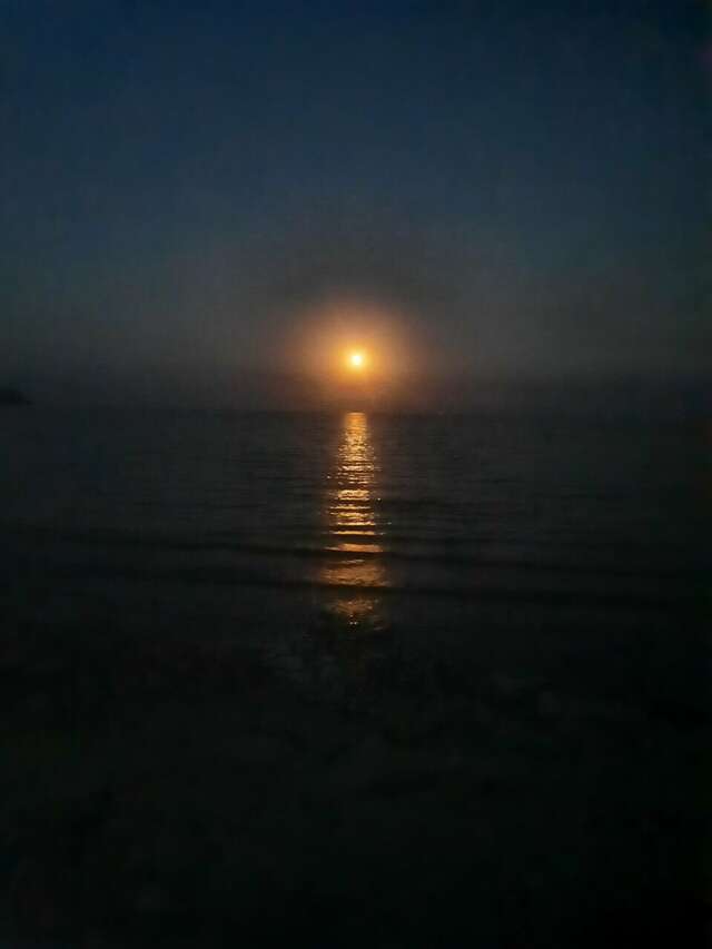 Гостиница Золотое Руно Таганрог-212